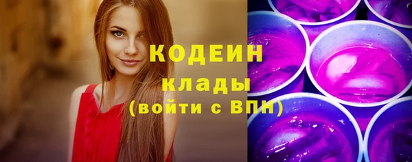 твердый Долгопрудный