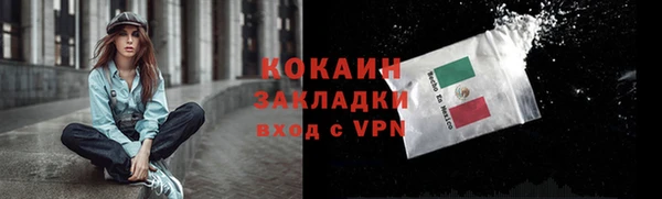 твердый Долгопрудный