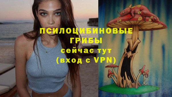 твердый Долгопрудный