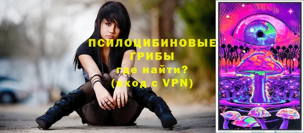 твердый Долгопрудный