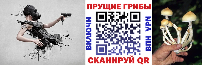 hydra ONION  Новое Девяткино  Галлюциногенные грибы Magic Shrooms 